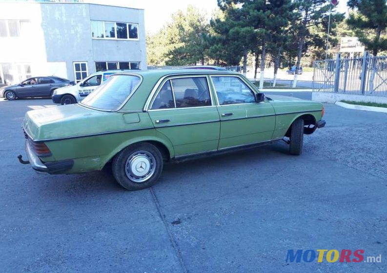 1971' Mercedes-Benz 123 photo #1