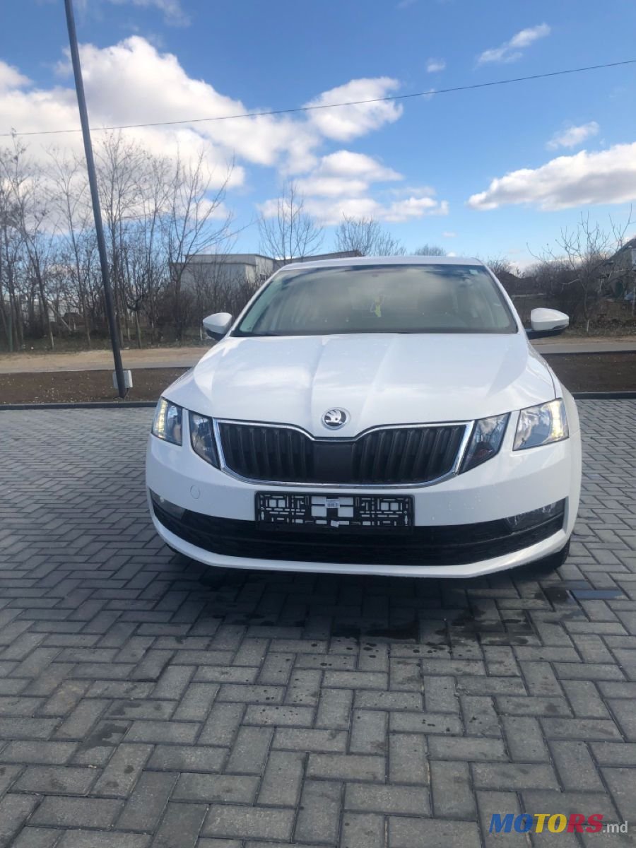 2018' Skoda Octavia photo #1