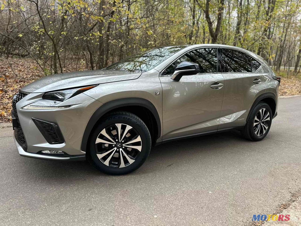 2019' Lexus Nx Series photo #3
