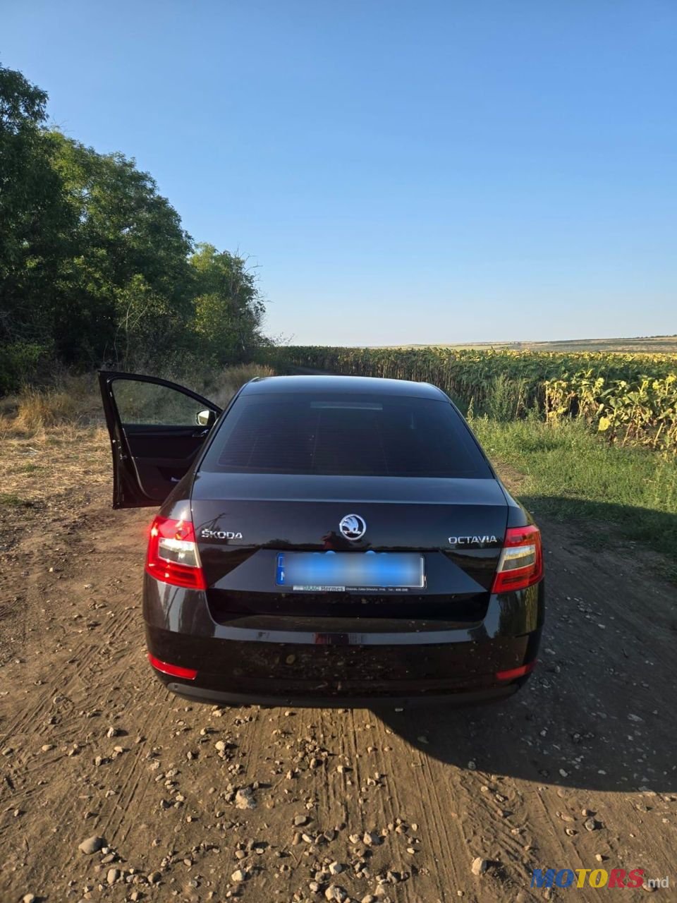 2017' Skoda Octavia photo #2