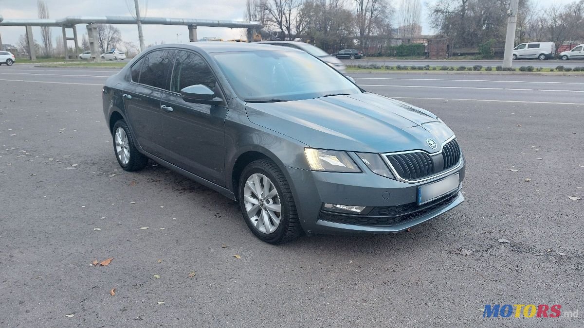 2017' Skoda Octavia photo #1
