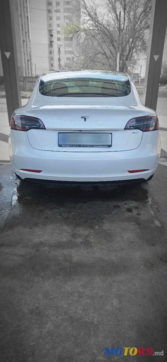 2020' Tesla Model 3 photo #3