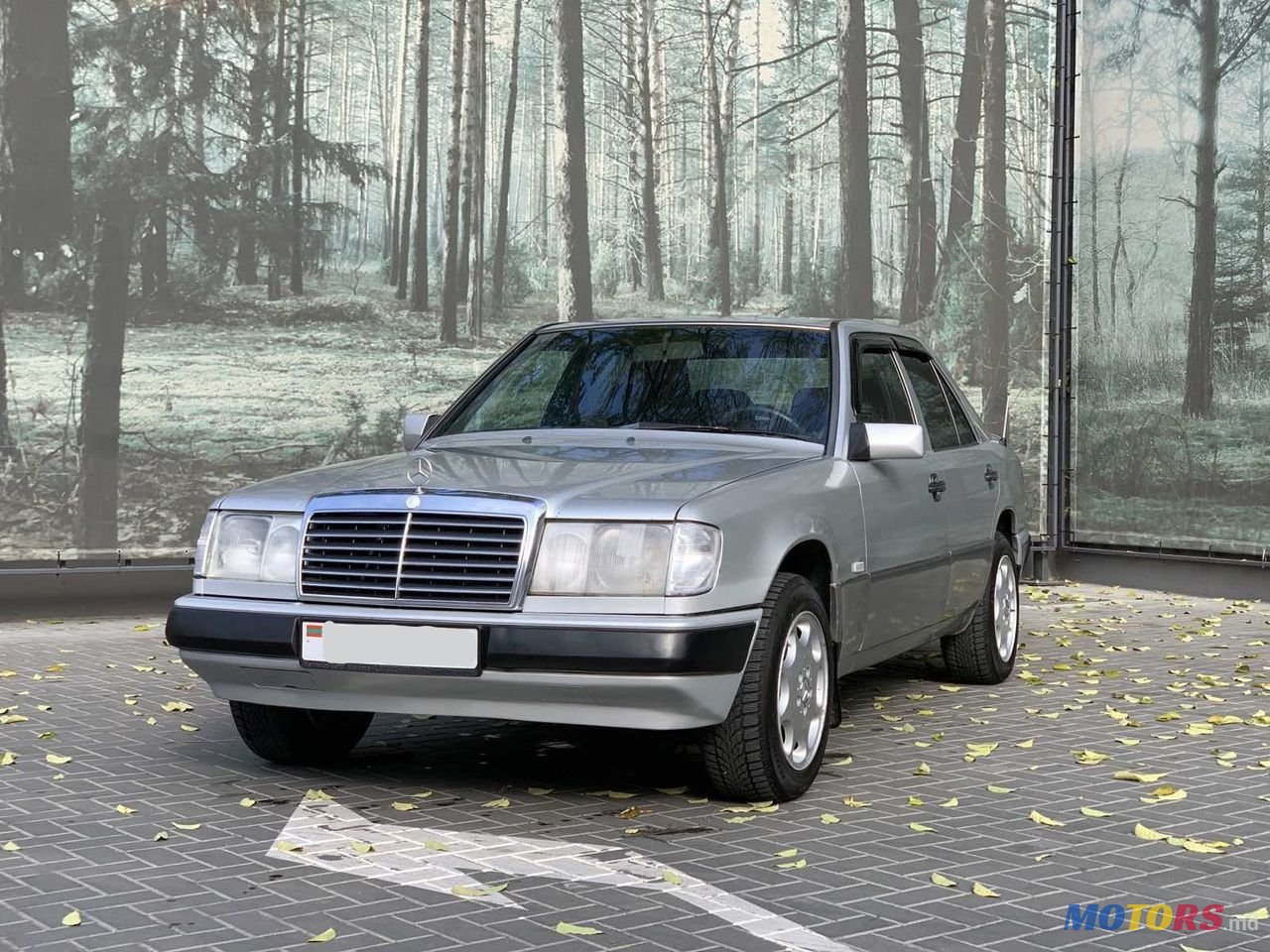 1992' Mercedes-Benz Series (W124) photo #1