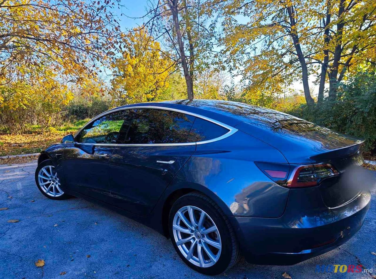 2020' Tesla Model 3 photo #3