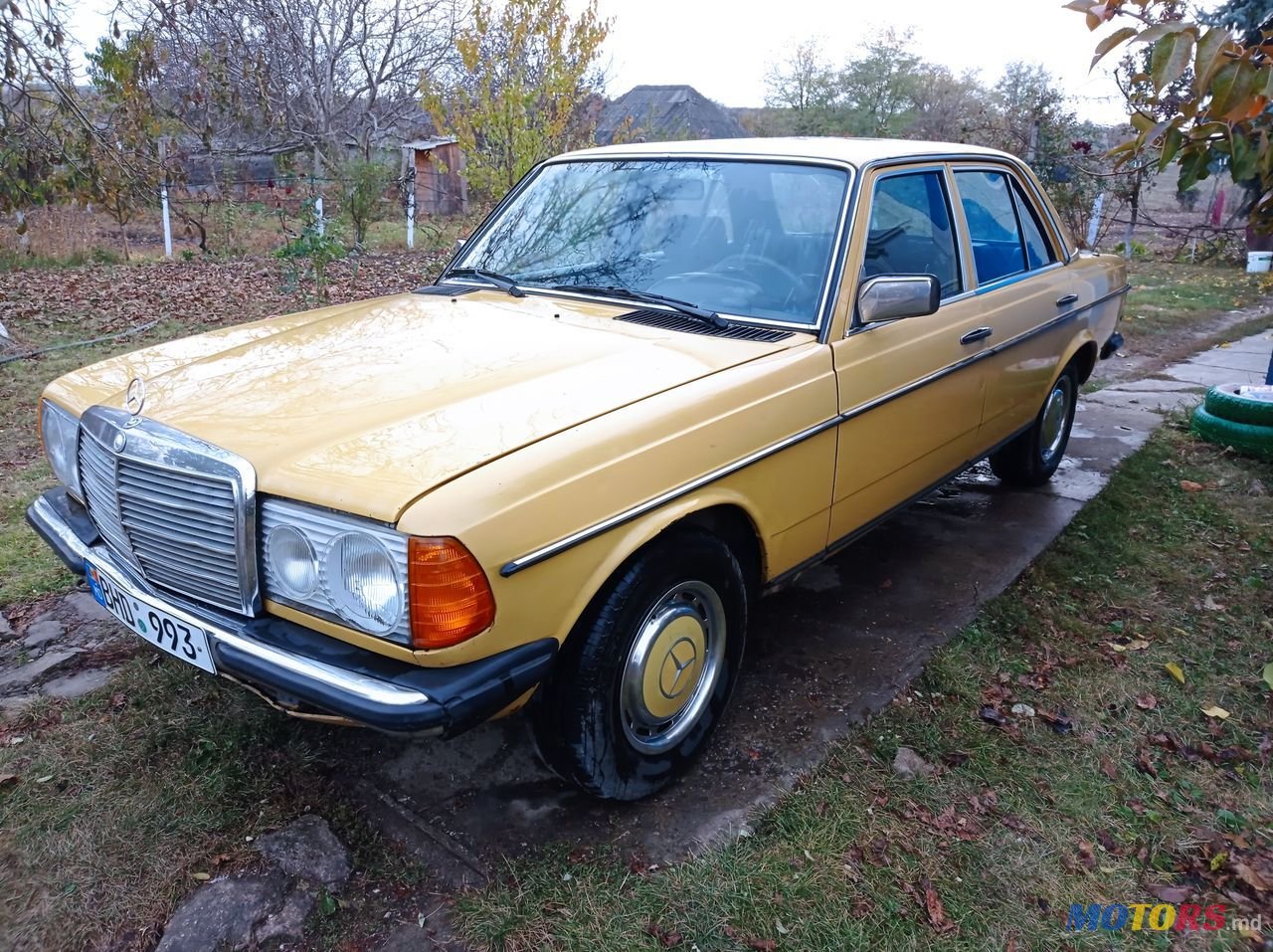 1983' Mercedes-Benz W123 photo #2