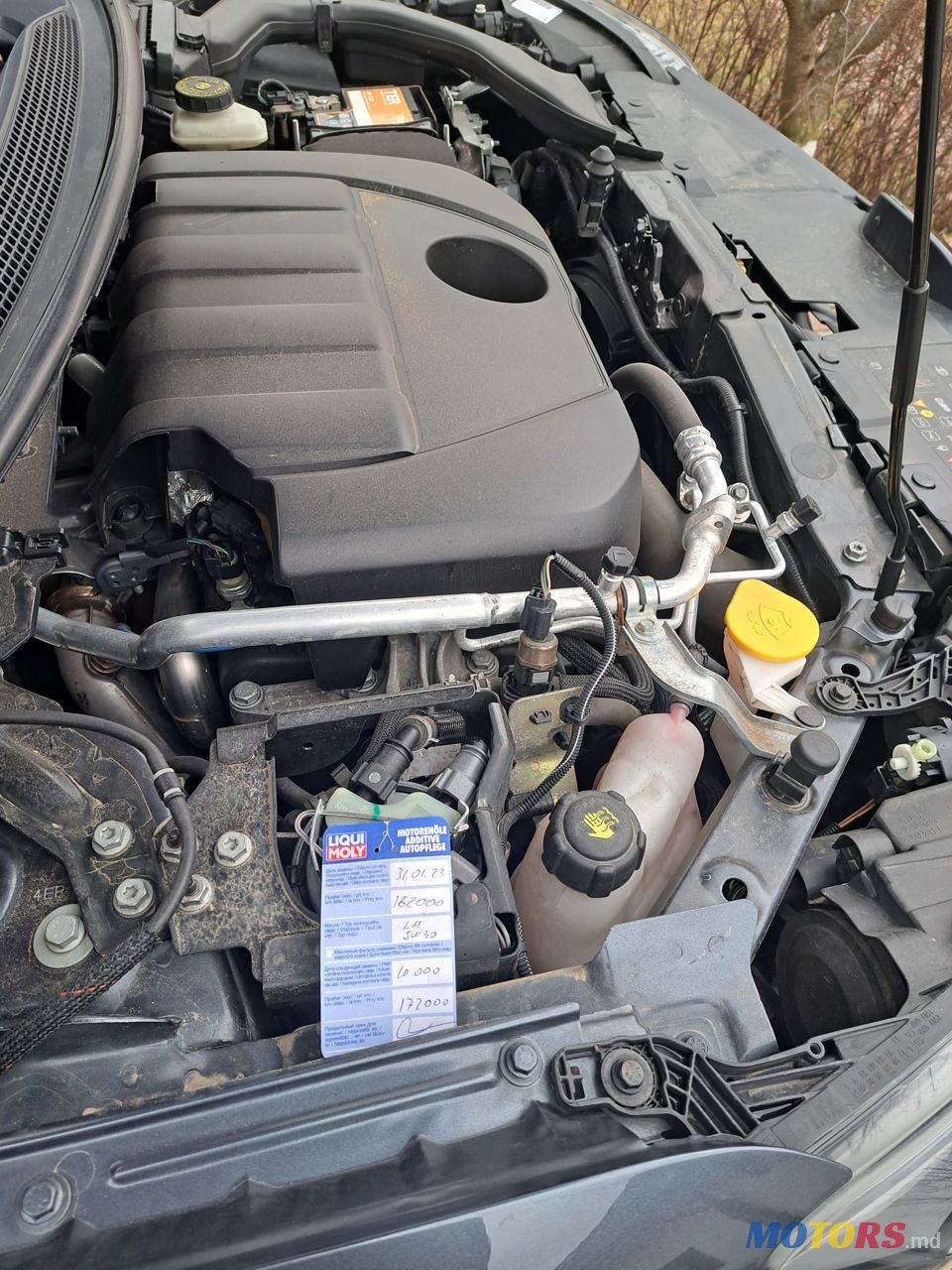 2016' Renault Kadjar photo #6