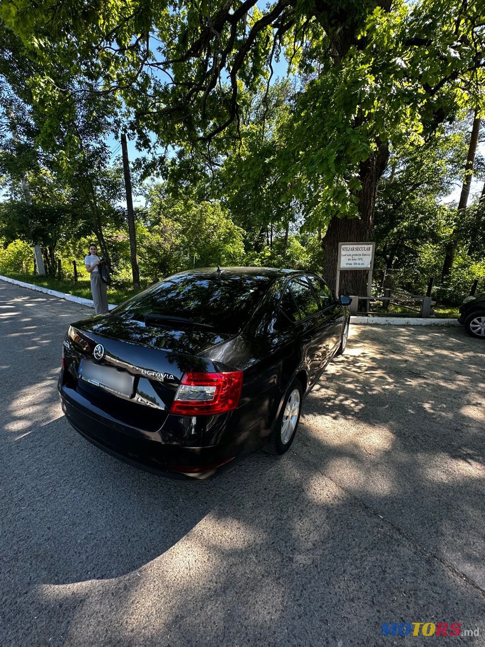 2019' Skoda Octavia photo #4