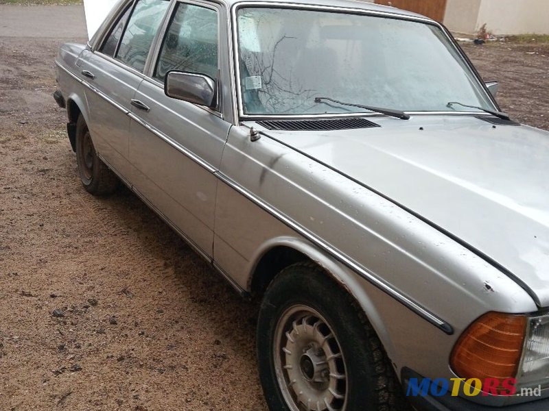 1981' Mercedes-Benz W123 photo #4