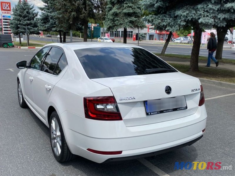 2018' Skoda Octavia photo #3