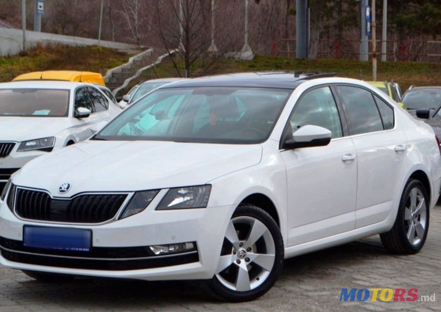 2019' Skoda Octavia photo #1