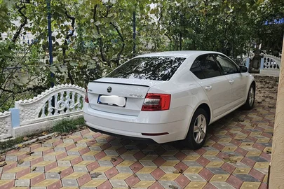 2019' Skoda Octavia