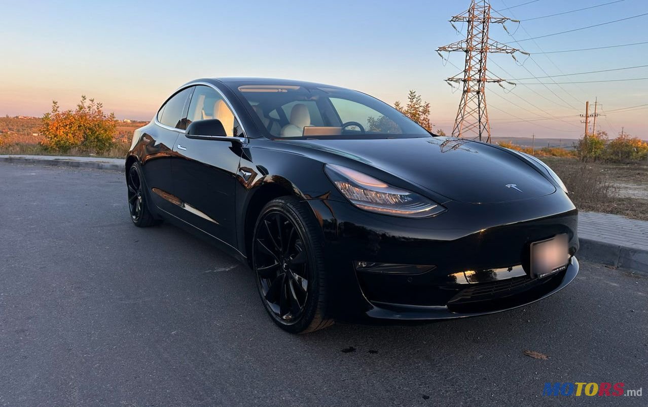 2019' Tesla Model 3 photo #1
