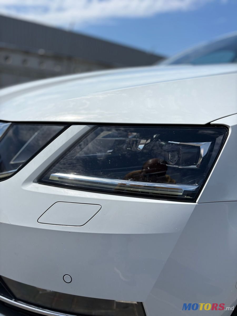 2020' Skoda Octavia photo #3