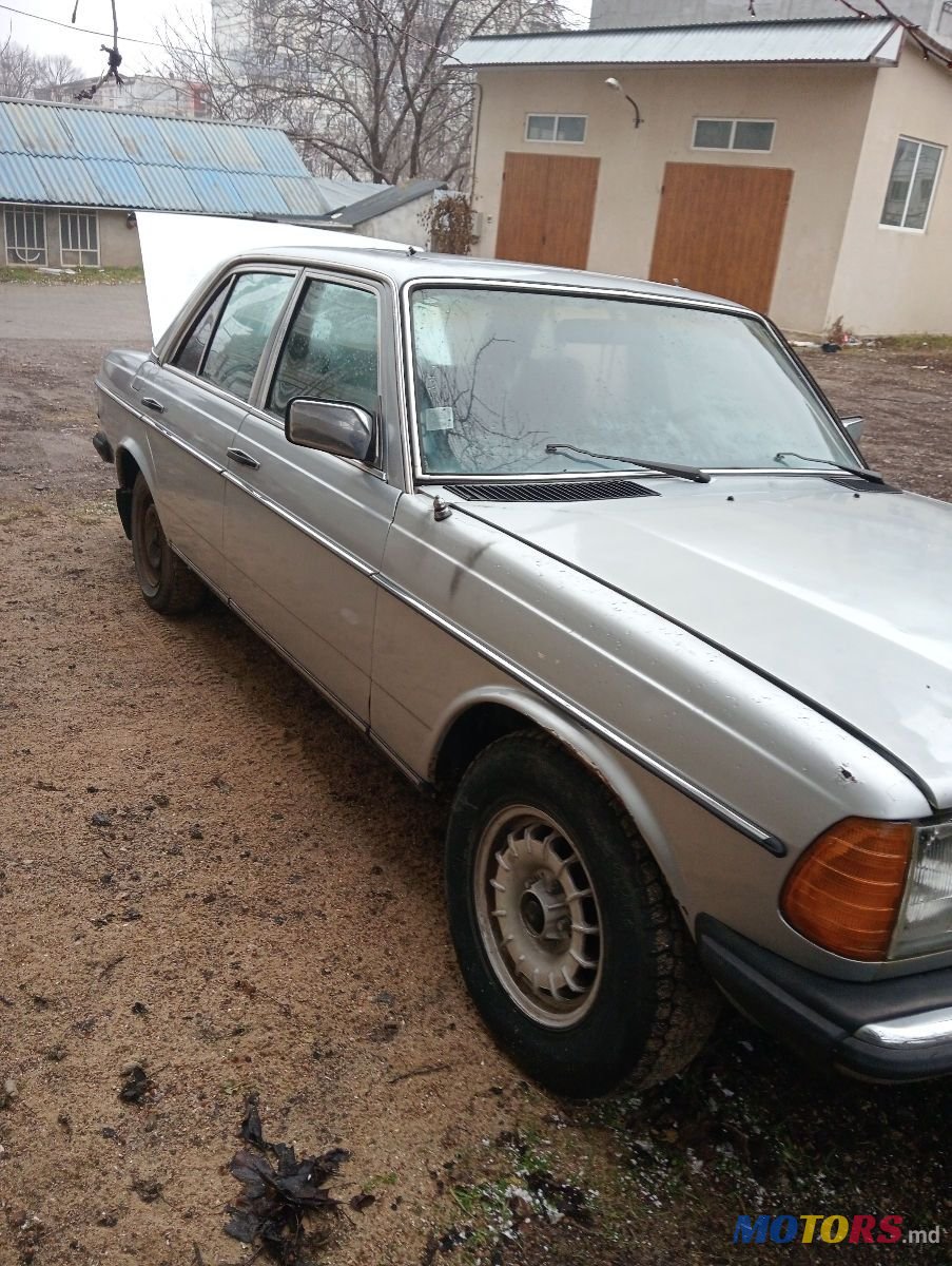 1981' Mercedes-Benz W123 photo #4