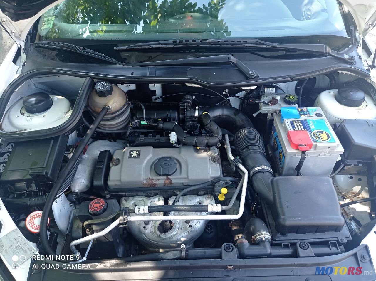 2005' Peugeot 206 photo #5