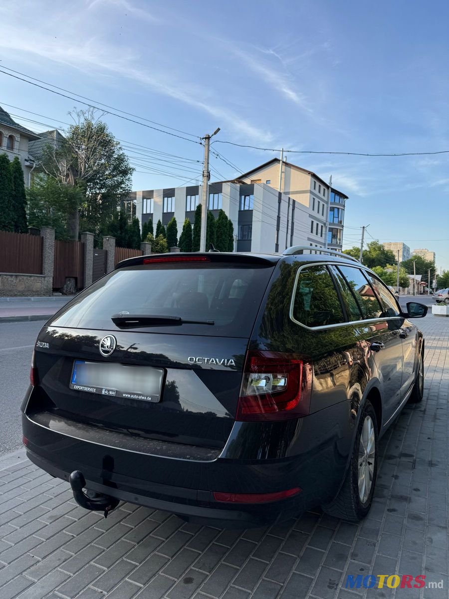 2017' Skoda Octavia photo #5