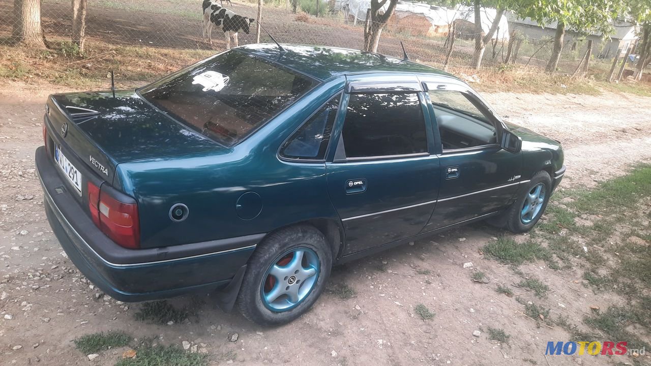 1995' Opel Vectra photo #6