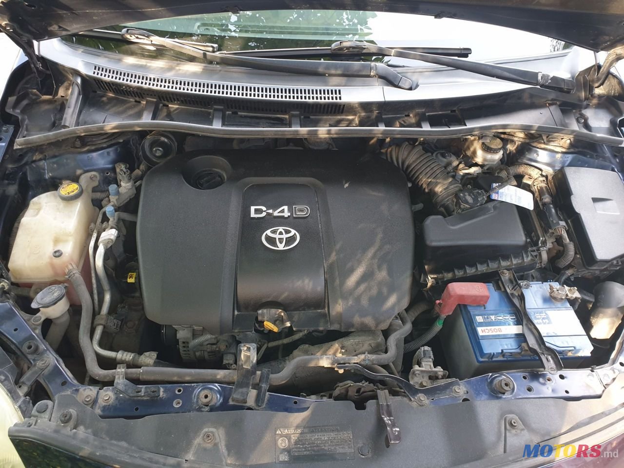 2008' Toyota Corolla photo #6