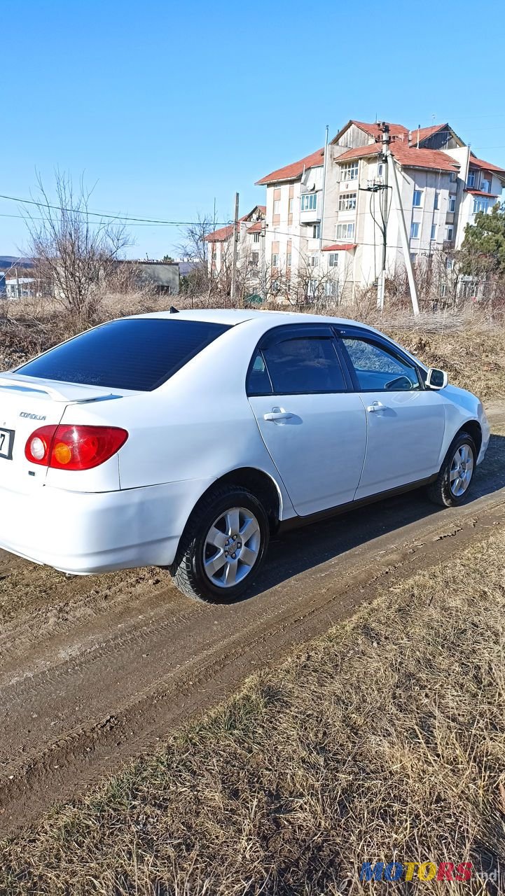 2004' Toyota Corolla photo #4