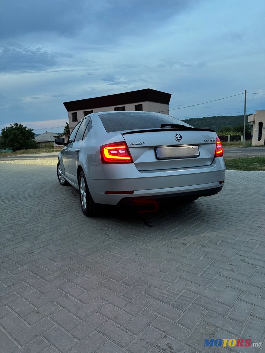 2017' Skoda Octavia photo #5