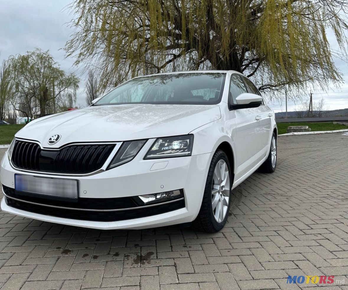 2018' Skoda Octavia photo #1