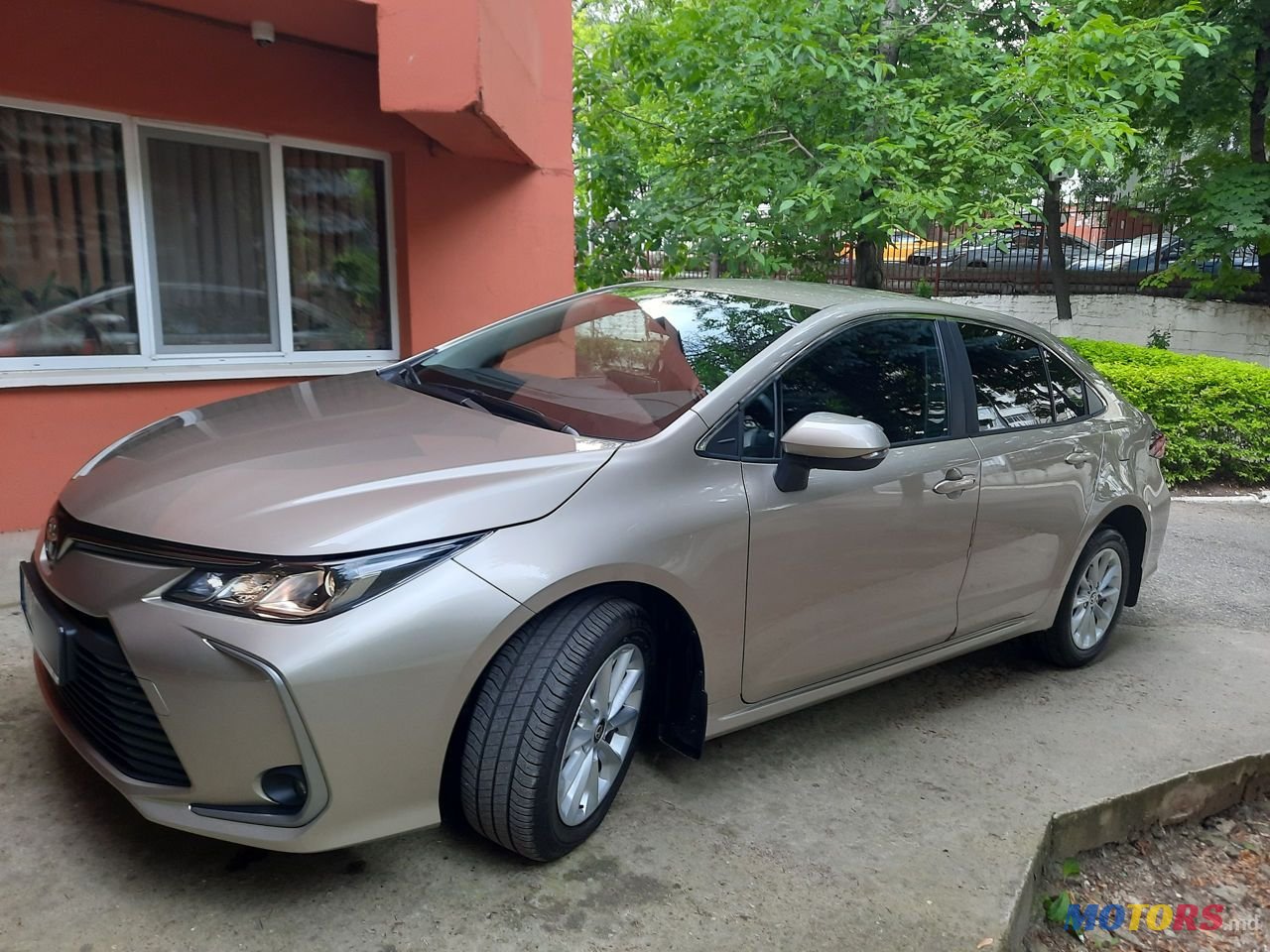 2023' Toyota Corolla photo #1