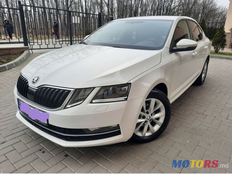 2017' Skoda Octavia photo #1