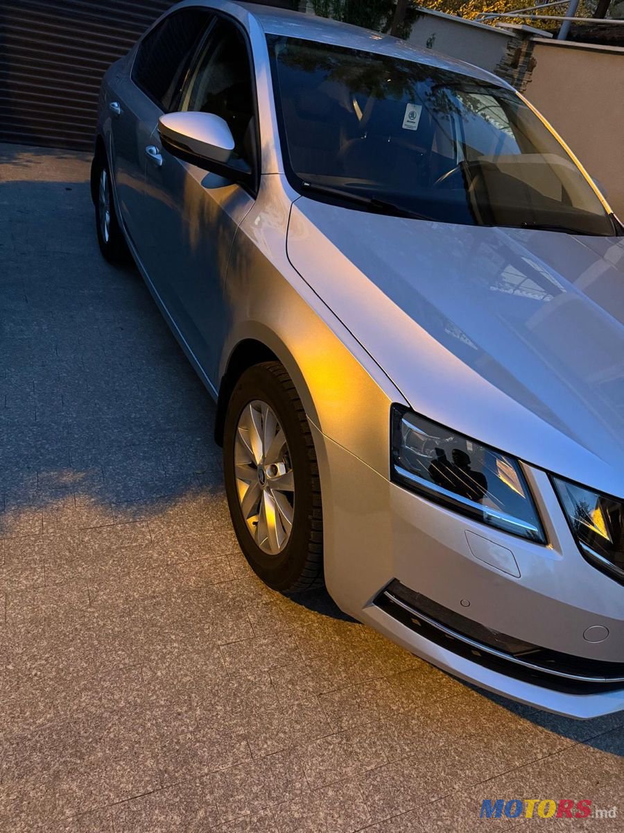 2019' Skoda Octavia photo #3