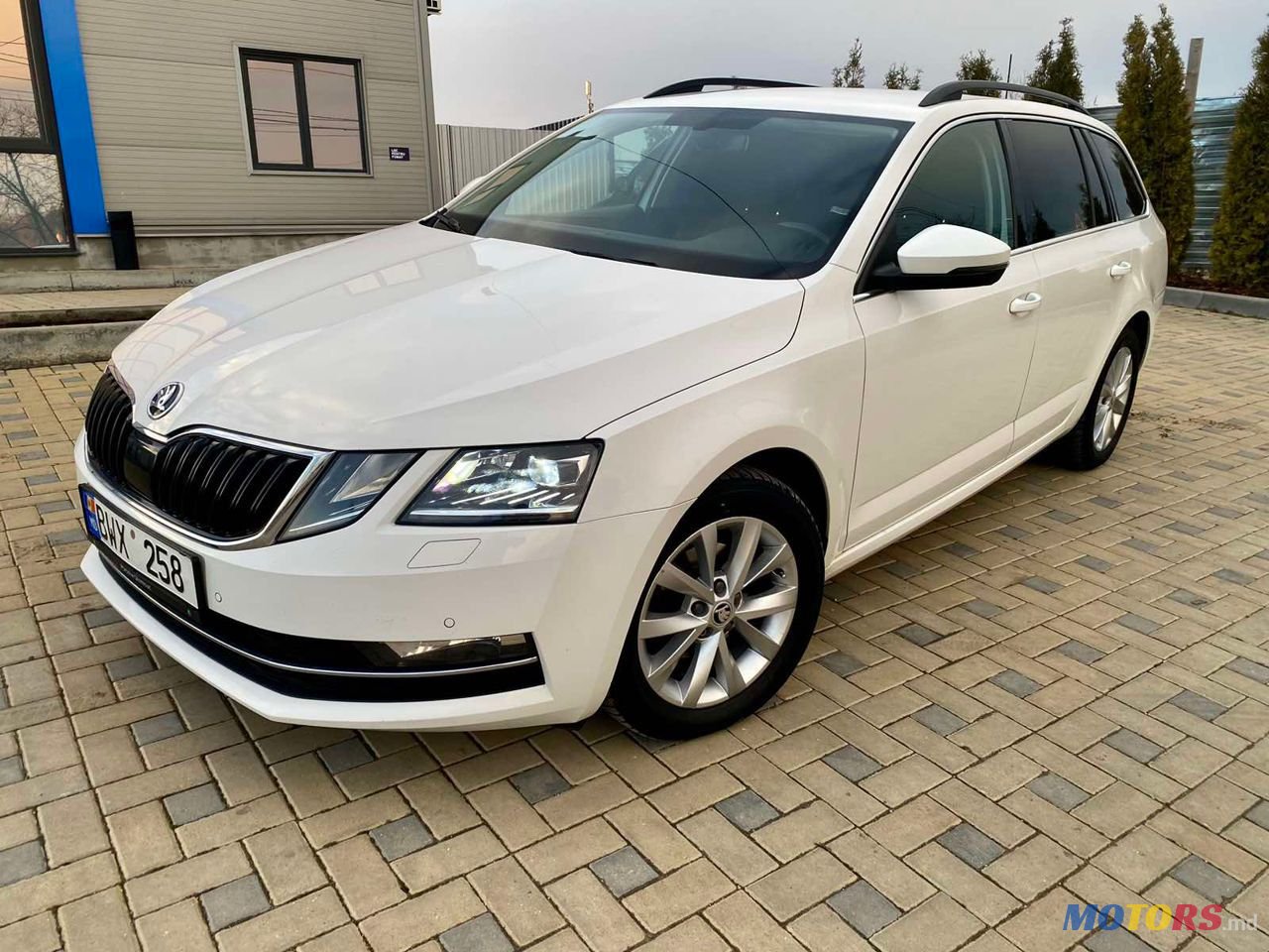 2019' Skoda Octavia photo #1