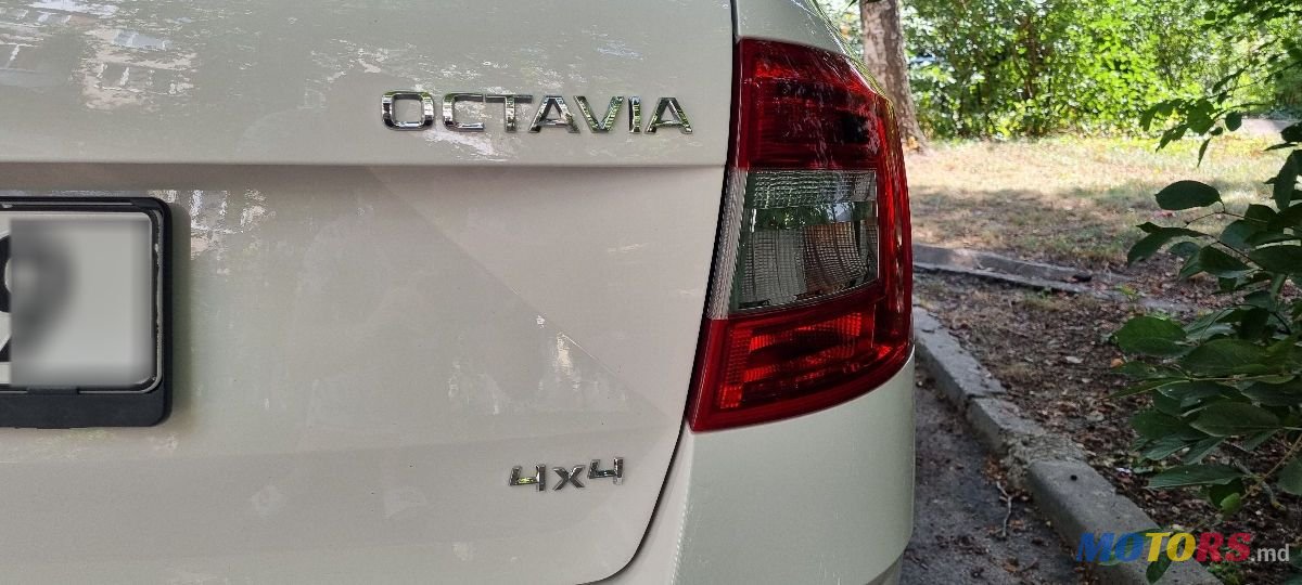 2019' Skoda Octavia photo #6