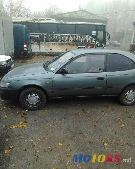 1993' Toyota Corolla photo #1