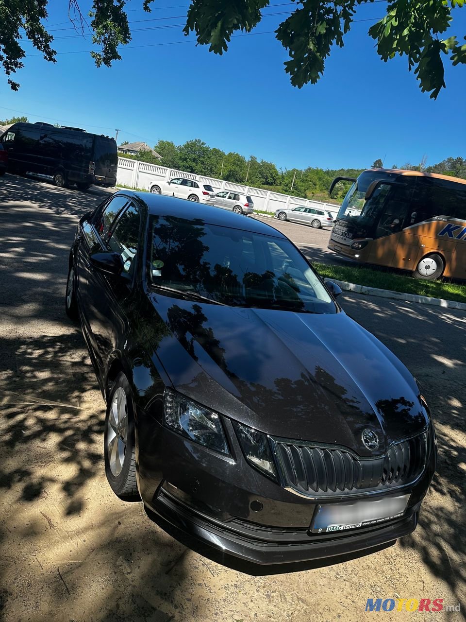 2019' Skoda Octavia photo #1