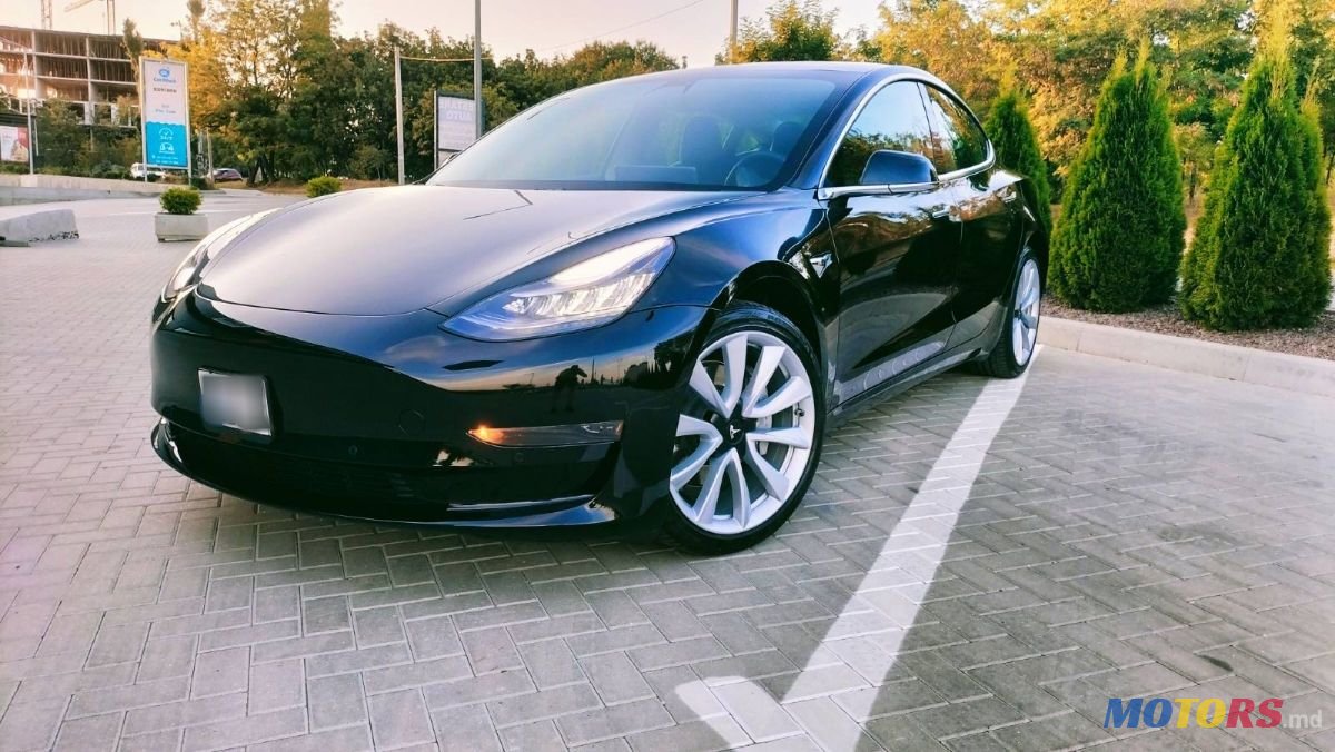 2019' Tesla Model 3 photo #1