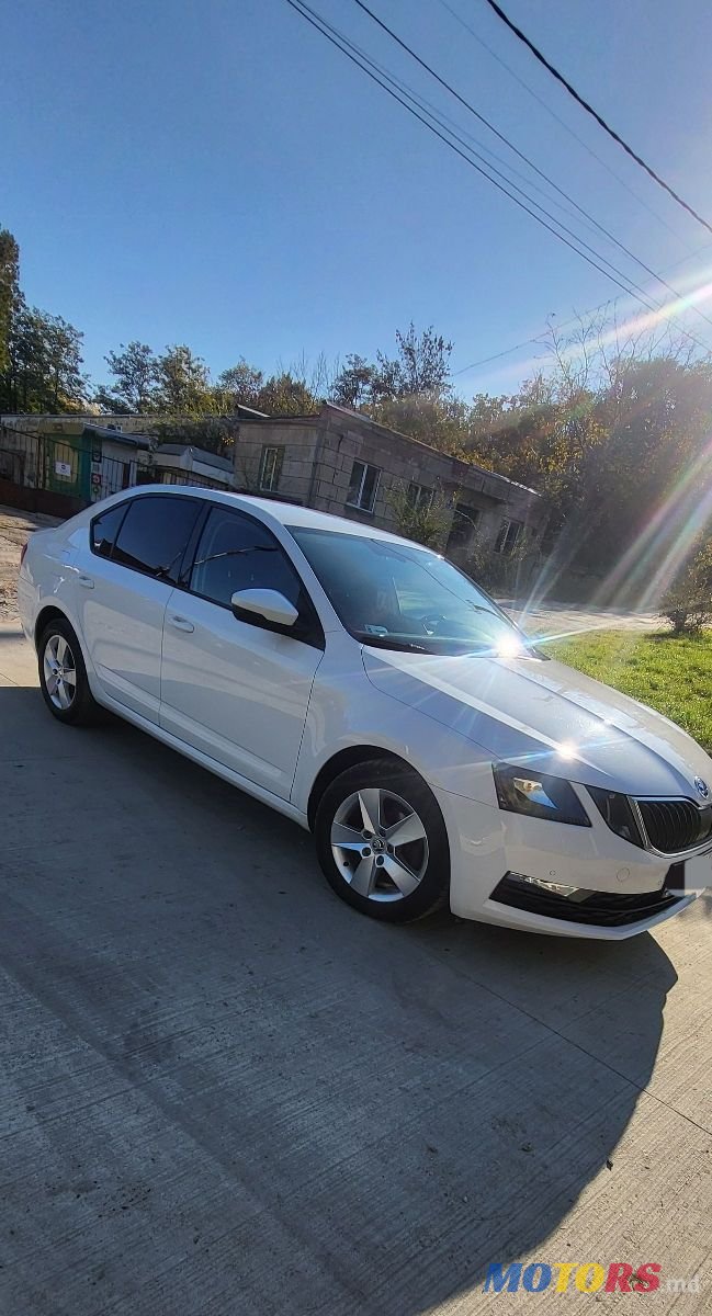 2019' Skoda Octavia photo #1