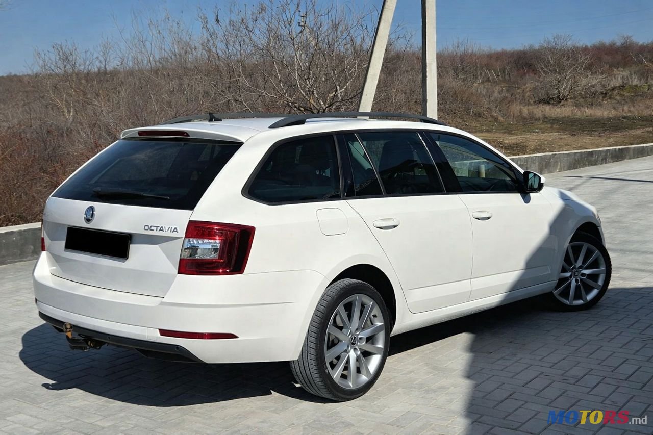 2019' Skoda Octavia photo #4