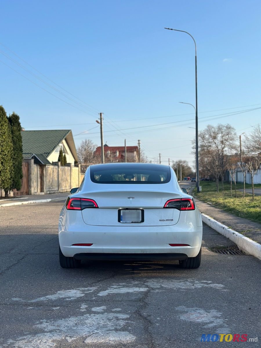 2019' Tesla Model 3 photo #5