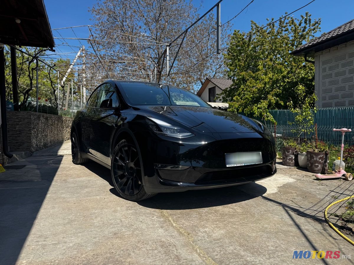 2023' Tesla Model Y photo #1