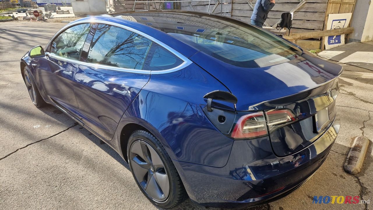 2019' Tesla Model 3 photo #2