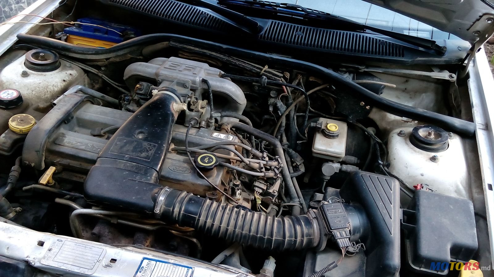 1995' Ford Escort photo #5