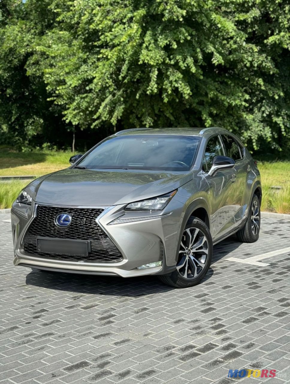 2015' Lexus Nx Series photo #1