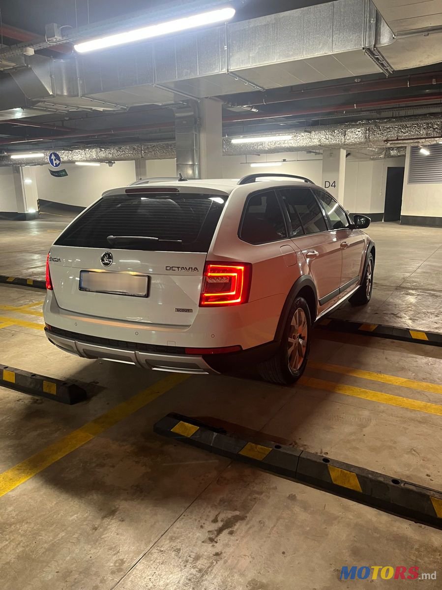 2015' Skoda Octavia photo #3