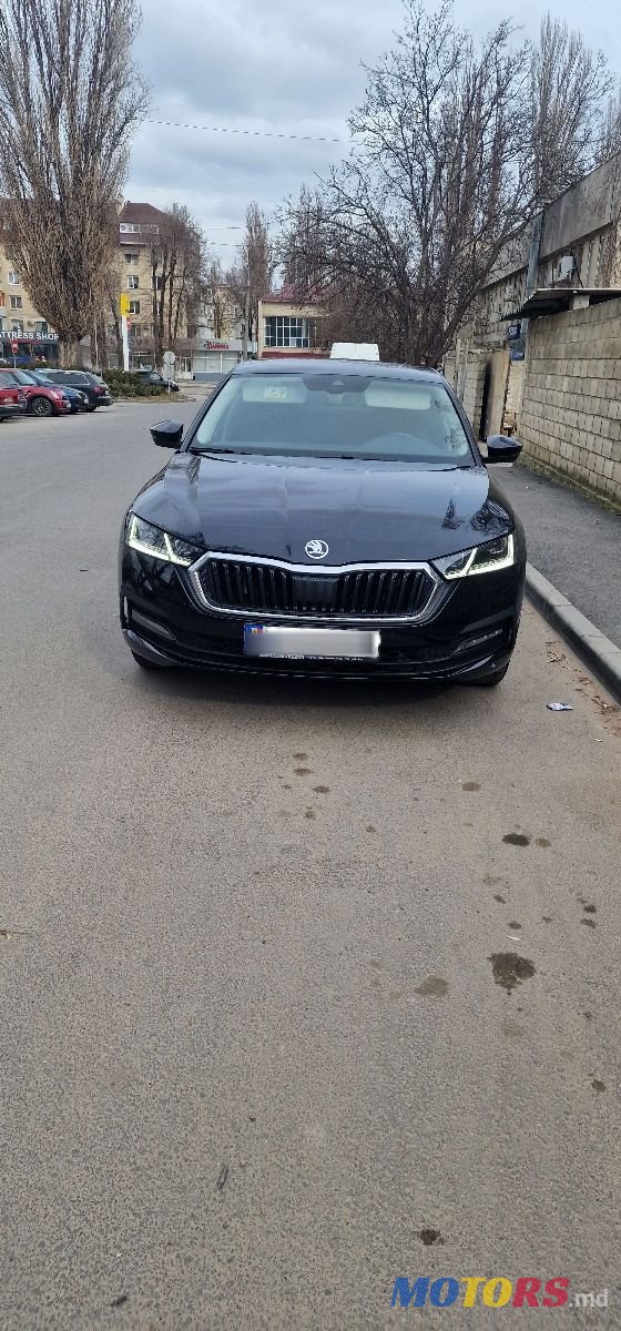 2021' Skoda Octavia photo #1