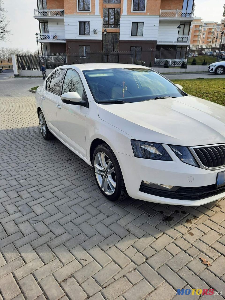 2019' Skoda Octavia photo #1