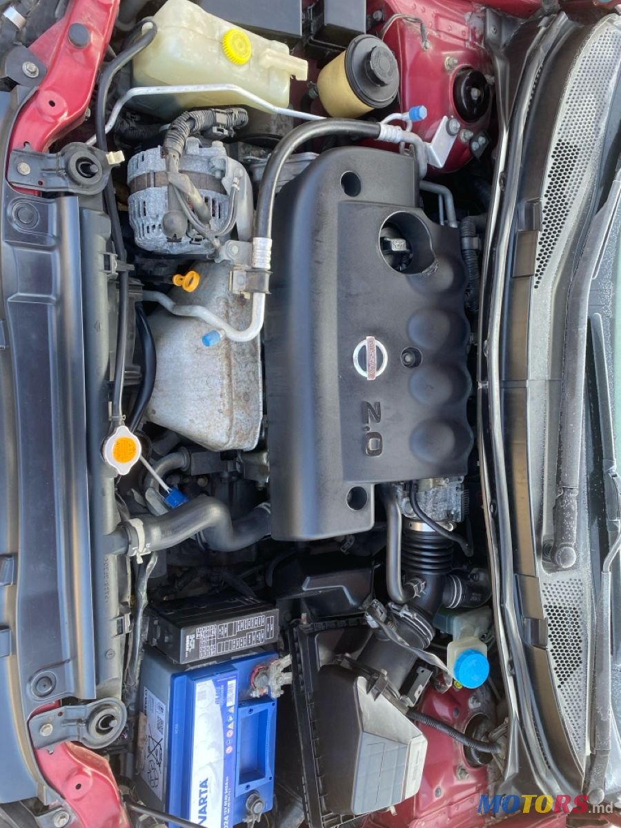 2005' Nissan Primera photo #5