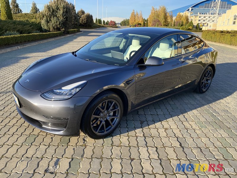 2019' Tesla Model 3 photo #5