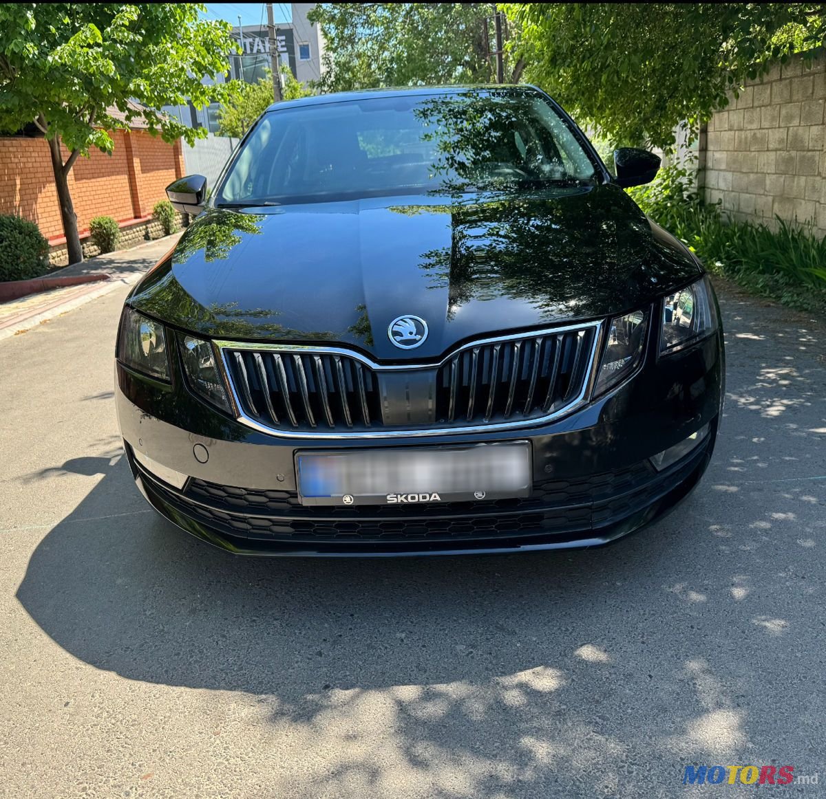 2019' Skoda Octavia photo #3