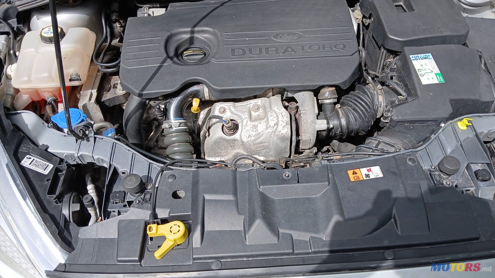 2015' Ford Focus photo #7