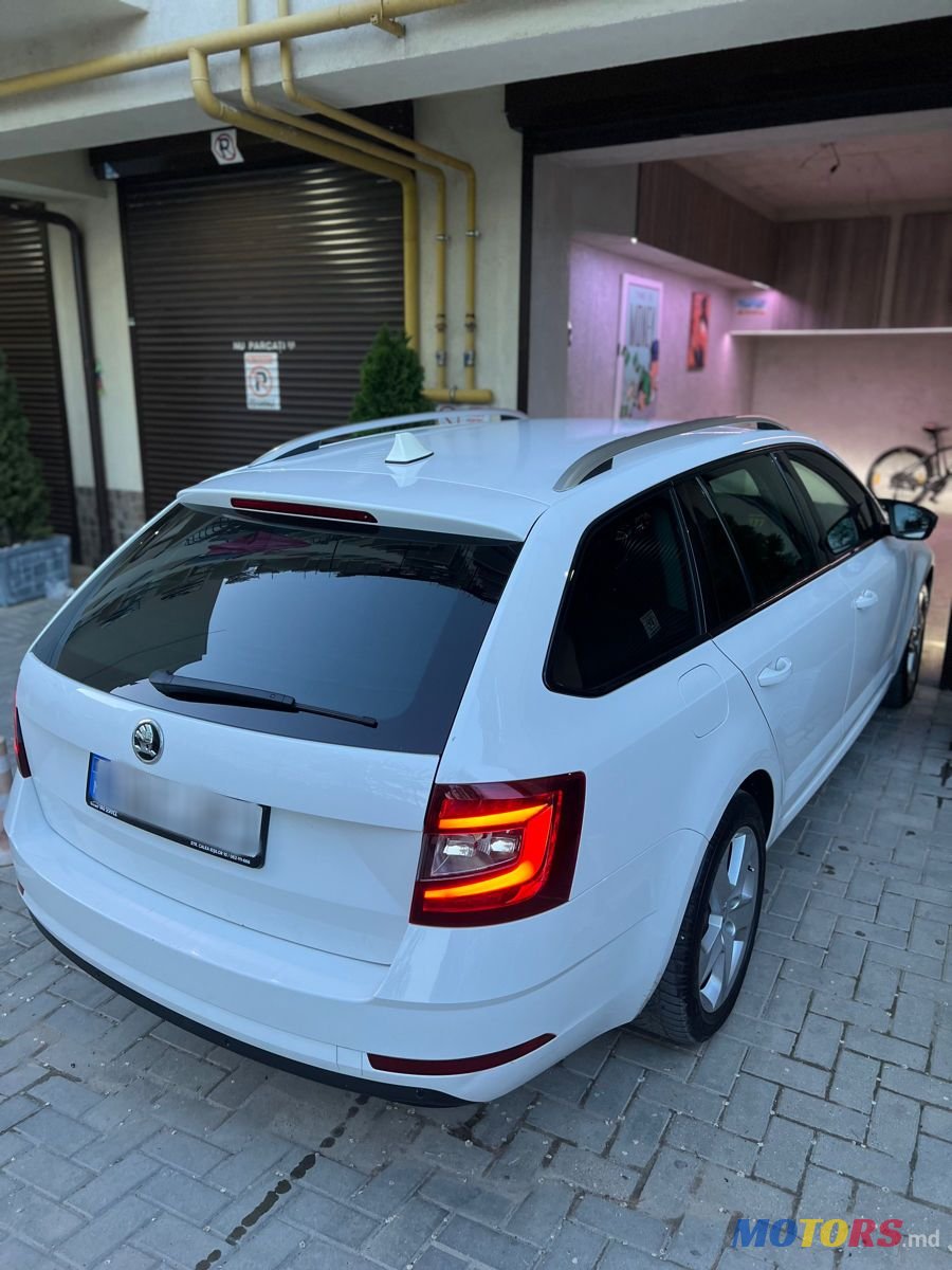 2017' Skoda Octavia photo #4