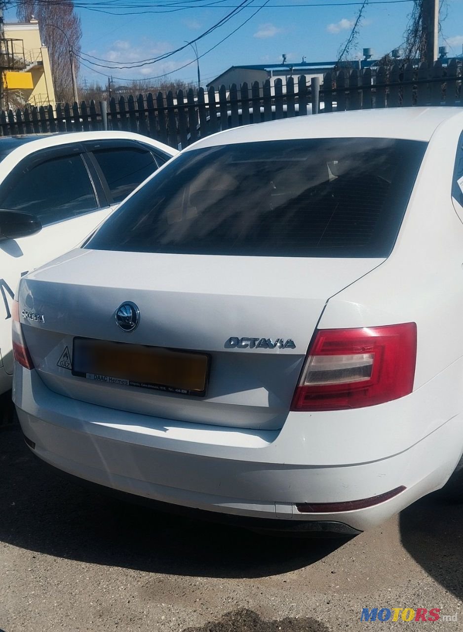 2018' Skoda Octavia photo #4