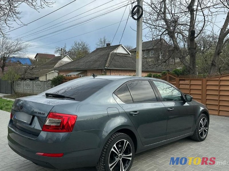 2016' Skoda Octavia photo #5